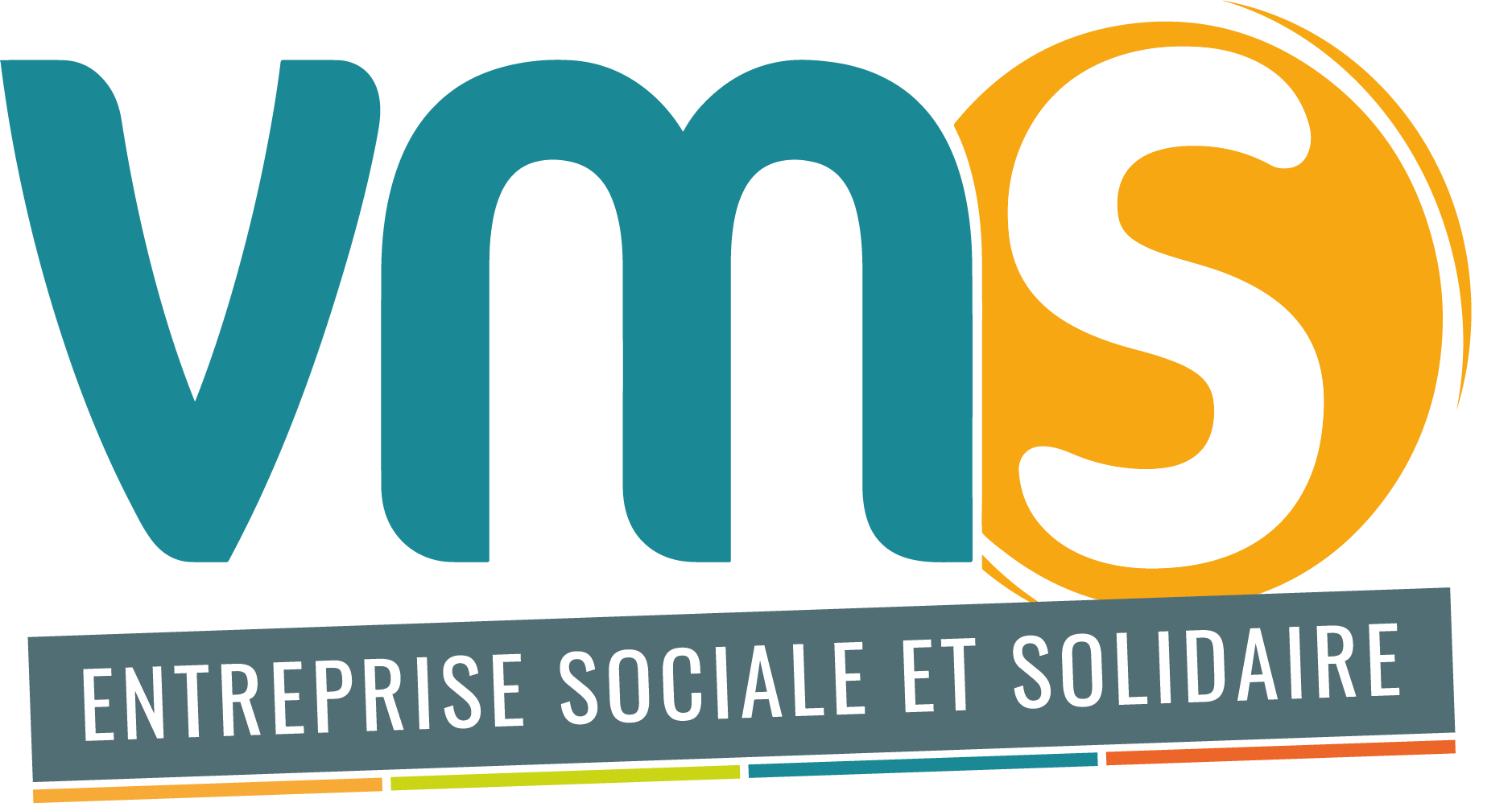 Logo VMS